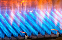 Weaven gas fired boilers